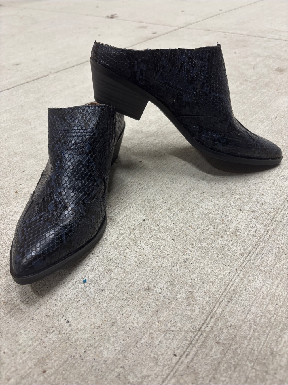 Esprit Black Snakeskin-Textured Mule Booties